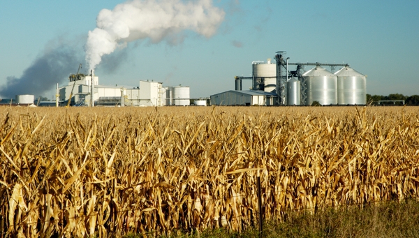 Ростовская область ведет переговоры с китайским инвестором о строительстве завода глубокой переработки зерна