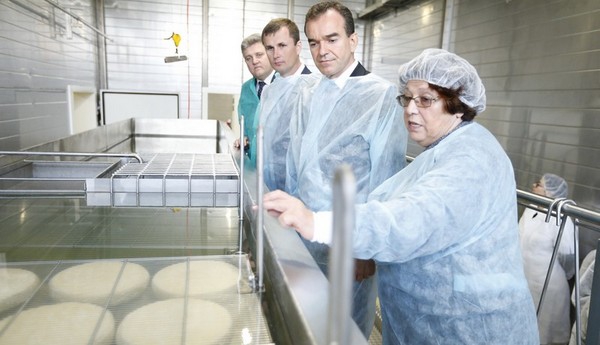 Кондратьев поручил разработать стратегию развития молочной отрасли в Краснодарском крае