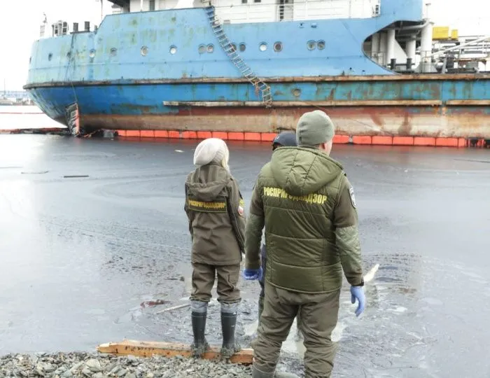 Почти в 85 млрд рублей оценили ущерб от крушения танкеров в Черном море