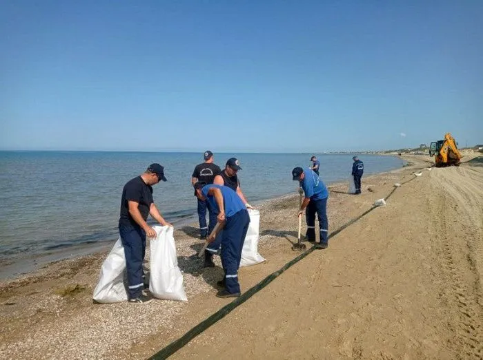 Ущерб биоресурсам из-за разлива мазута в Черном море оценен в 2,5 млрд рублей