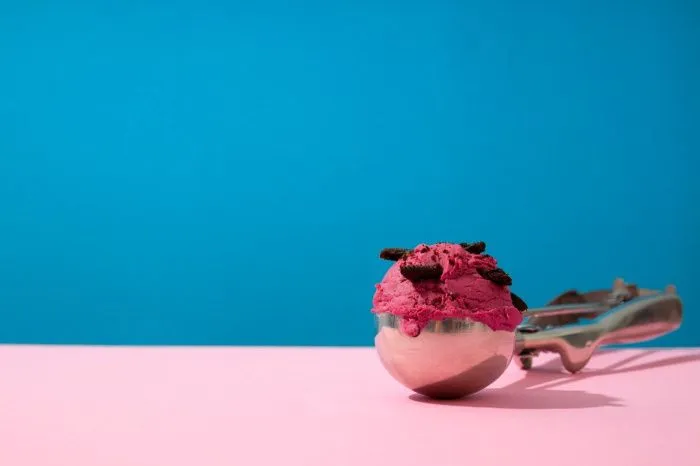 Производство мороженого из овечьего молока намерены наладить в Дагестане