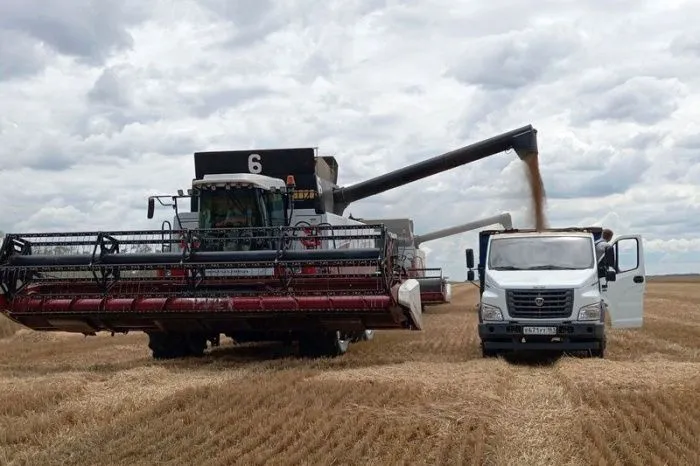 Глава Минсельхоза РФ назвала «самыми сложными» условия сбора урожая на Дону в 2025 году