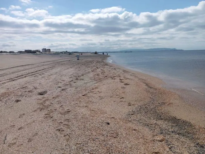 Новые выбросы мазута зафиксировали на пяти участках побережья Анапы