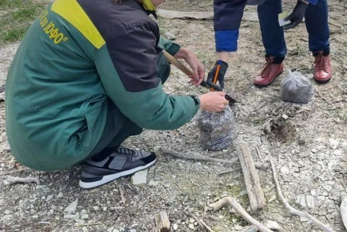 Суд обязал администрацию Геленджика возместить ущерб в 4 млн рублей за загрязнение почвы