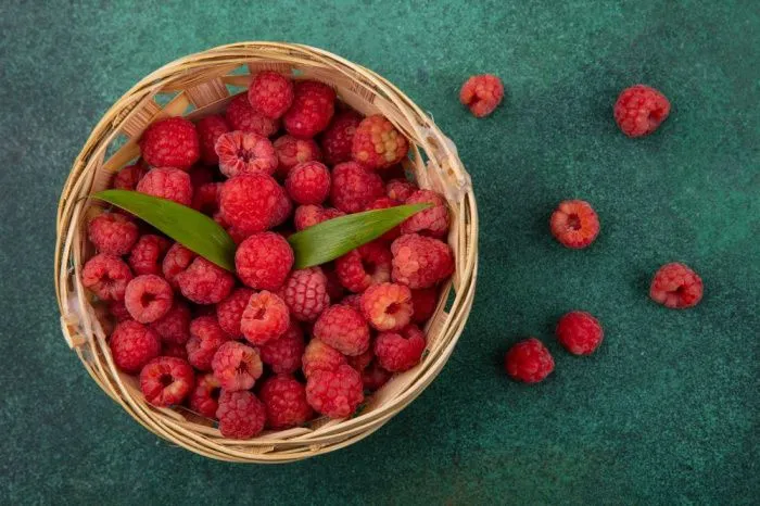 В Крыму для поддержки производства ягод выделили 400 млн рублей