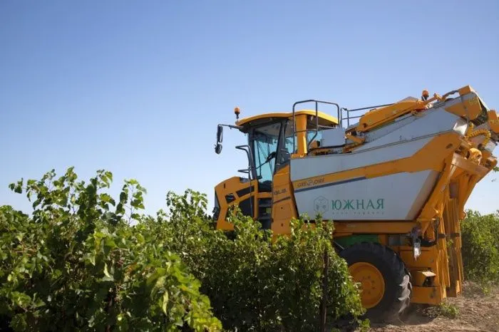 Агрофирма «Южная» дала старт уборке урожая винограда