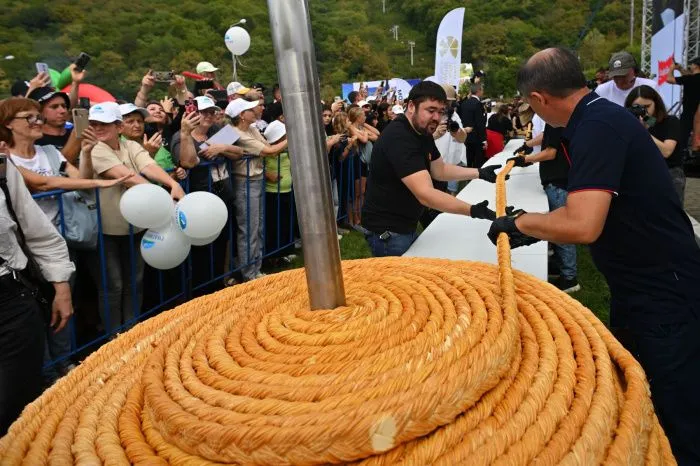 Россельхознадзор: 40% адыгейского сыра производят не в Адыгее