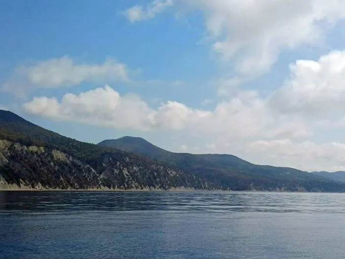 Власти заявили о ликвидации лесных пожаров в Геленджике