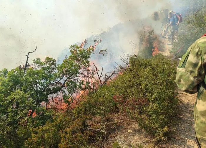 Под Анапой горит более 11 га леса