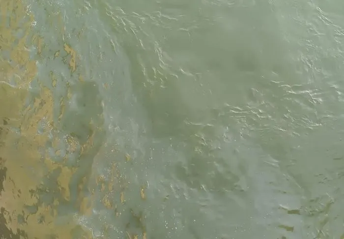 Минприроды Ростовской области заявило о сбросе нефтепродуктов в реку Дон