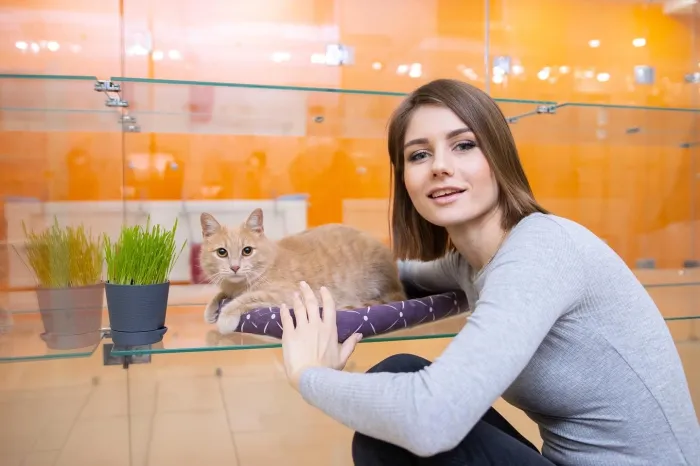 Юлия Кочубарова, «Терракот»: Мы первыми открыли в Краснодаре котоотель с номерами из закаленного стекла