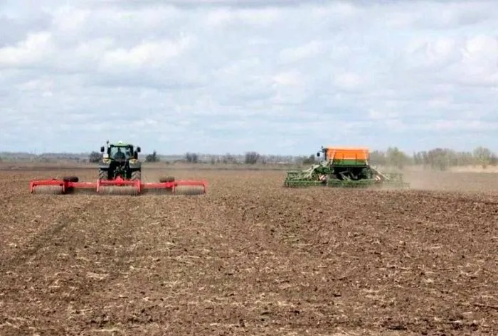 На Ставрополье озимыми засеют 2 млн га в 2025 году