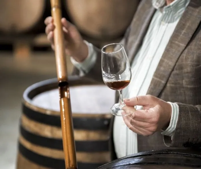 Открытие винного города в Геленджике перенесли на 2026 год