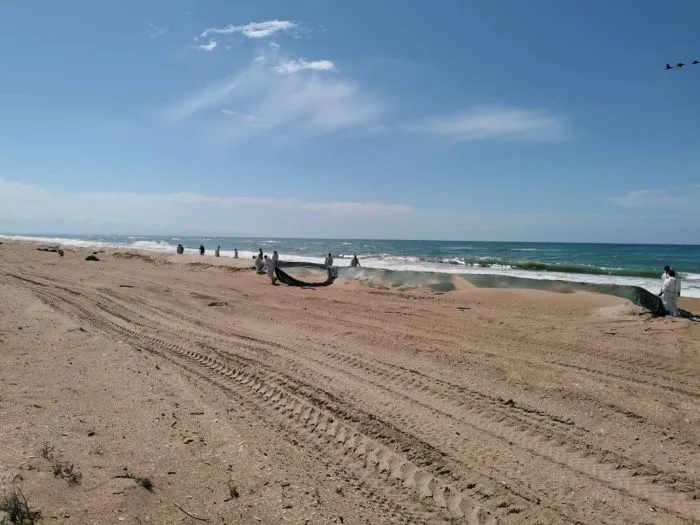 Побережье Анапы и Темрюкского района остается непригодным для купания