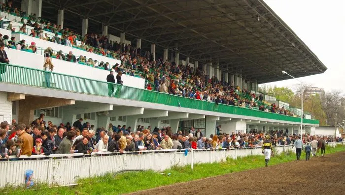 Конники попросили Генпрокуратуру проверить законность перехода ростовского ипподрома в частную собственность