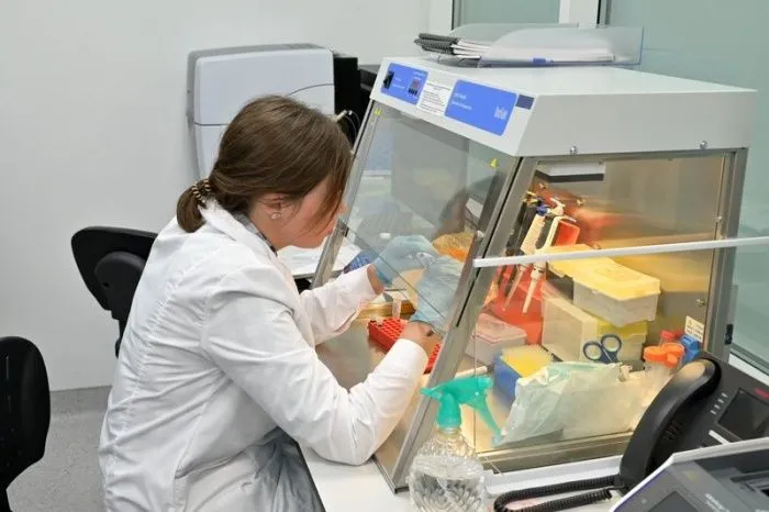 На территории бывшей Адлерской птицефабрики создадут инновационные образовательные площадки