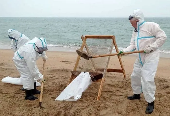 Правительство дополнительно направило более 7 млрд рублей на ликвидацию последствий разлива мазута в Черном море