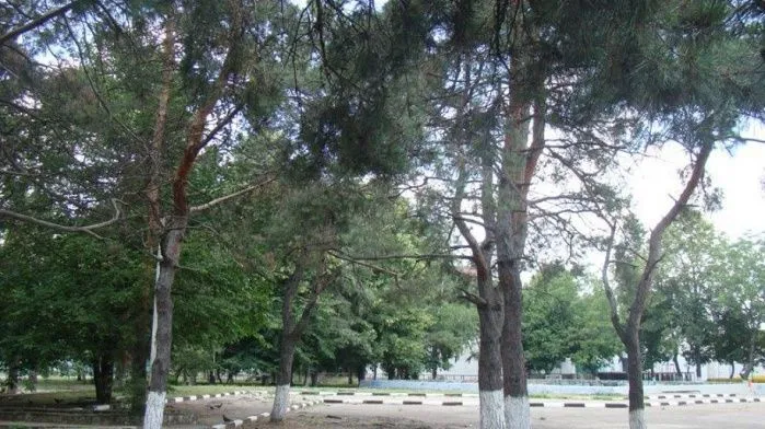 В Краснодаре утвердили дизайн сквера «Городской сад Карасунский»