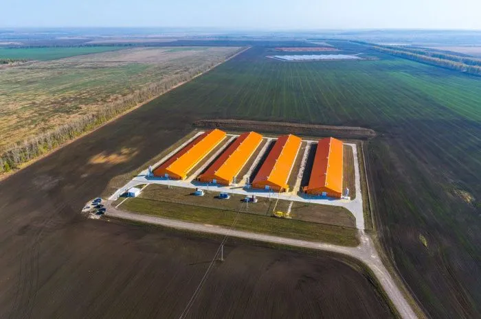 ГК «Дамате» инвестирует 600 млн рублей в расширение производства индейки на Дону