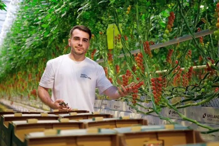 Агрохолдинг «ЭКО-культура» инвестировал более 76 млрд рублей на реализацию проектов на Северном Кавказе