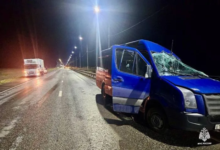 В ДТП с микроавтобусом и грузовиком в Калмыкии погибли 7 человек