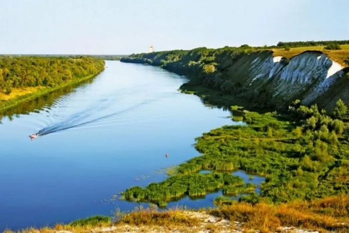 На Дону в первом полугодии 2025 года собрали более 135 млн рублей турналога