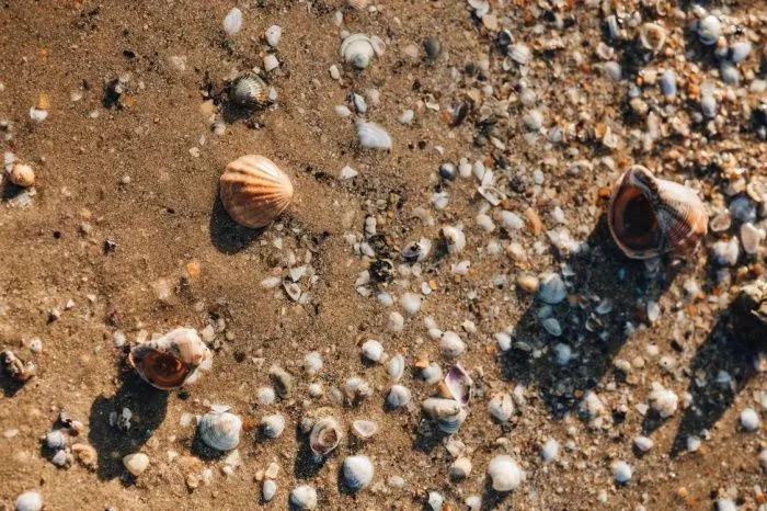 АТОР: анапские отельеры не спешат делать скидки на летний сезон для туристов