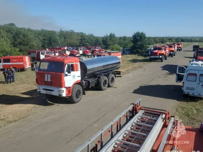 В Ростовской области пожар охватил более 425 га леса