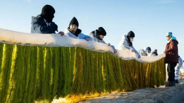 В Анапе установят 5-километровую защиту берегов биобонами