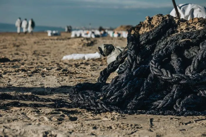 Новый метод переработки отходов ВТЗ используют при ликвидации разлива мазута в Анапе