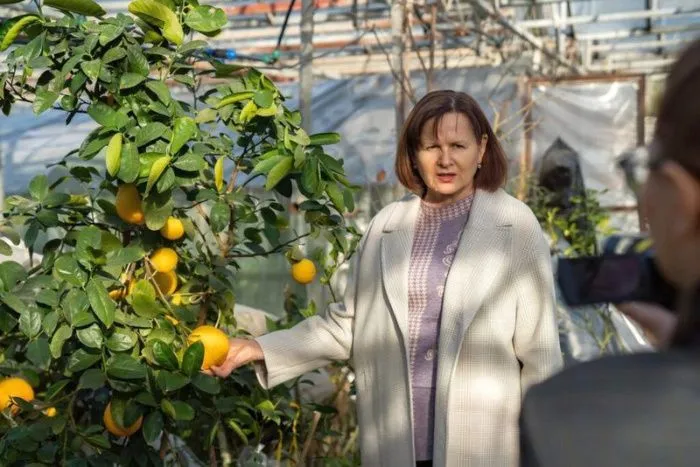 Семеноводческий центр субтропических культур в Сочи создадут до 2027 года