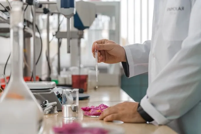 Кооперация красоты: в Крыму создали первый в РФ косметический кластер