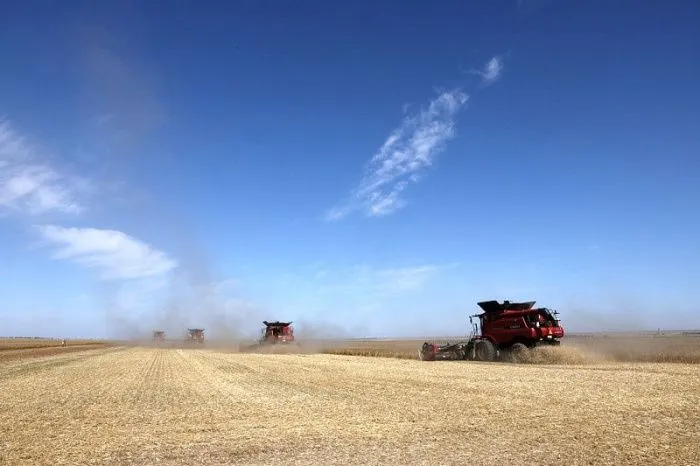 В Волгоградской области за три недели собрали 4 млн тонн зерна