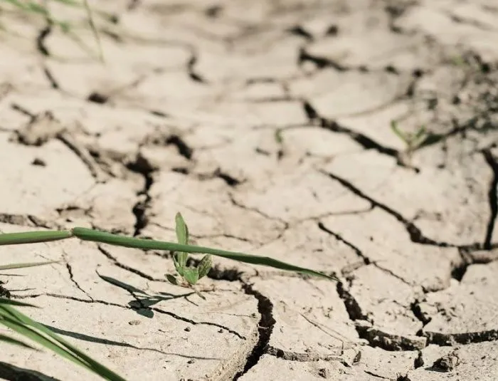 Более 17% территории Ростовской области подвержены опустыниванию