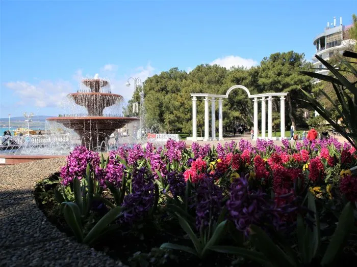 Кубань попала в топ-3 национального туристического рейтинга