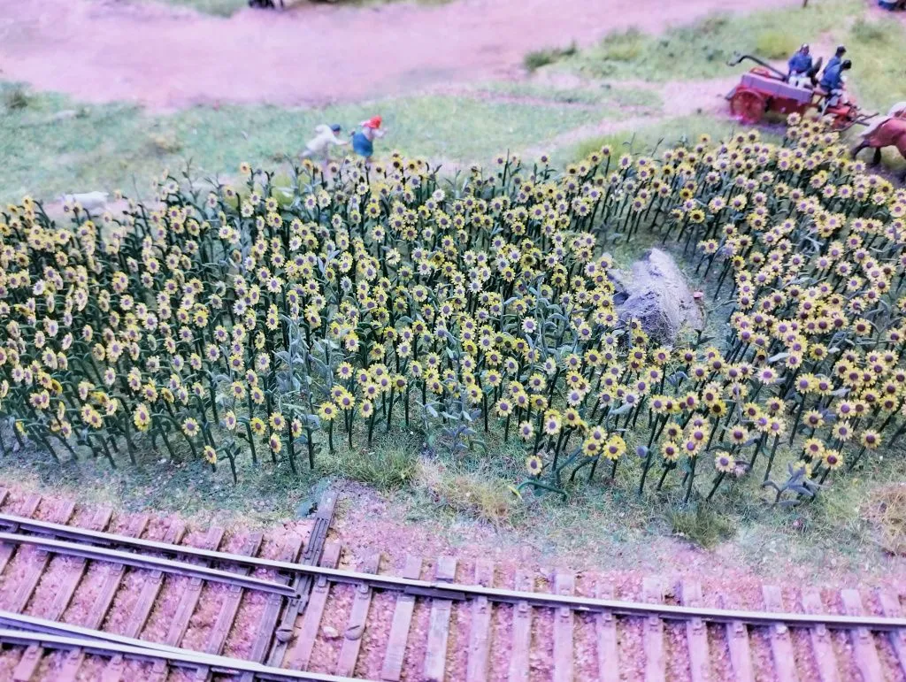 IMG20251118150119.jpg IMG20251118150119.jpg