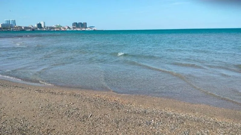 WhatsApp Image 2025-04-21 at 13.07.53.jpeg