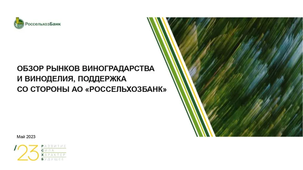Круглый стол «Как доносить ценность российского вина»