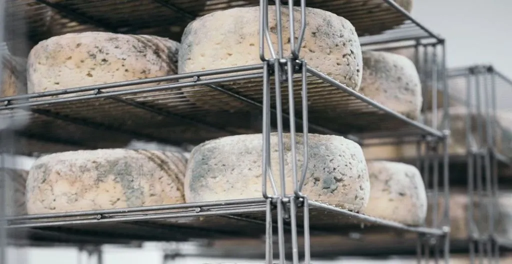 Голубая цех.jpeg Голубая цех.jpeg