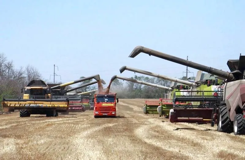 кубань.jpg кубань.jpg