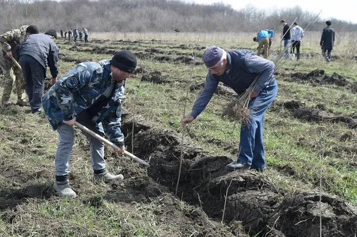 2M76lbbdwBk.jpg 2M76lbbdwBk.jpg