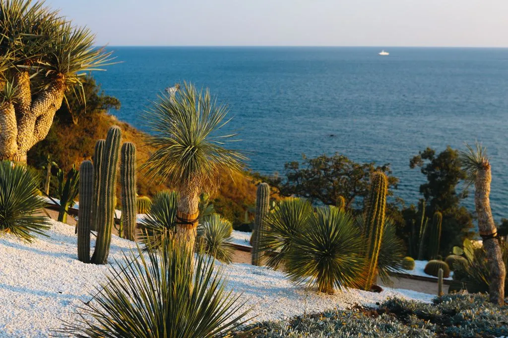 Винный_парк_Ялта.jpg Винный_парк_Ялта.jpg