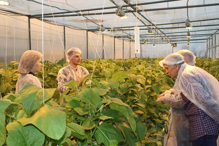 Школа фермера в Ставрополе Школа фермера в Ставрополе