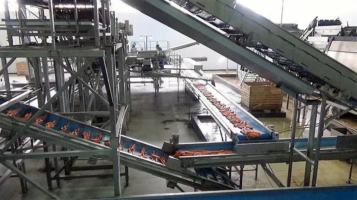 photo1655192136 (2).jpeg