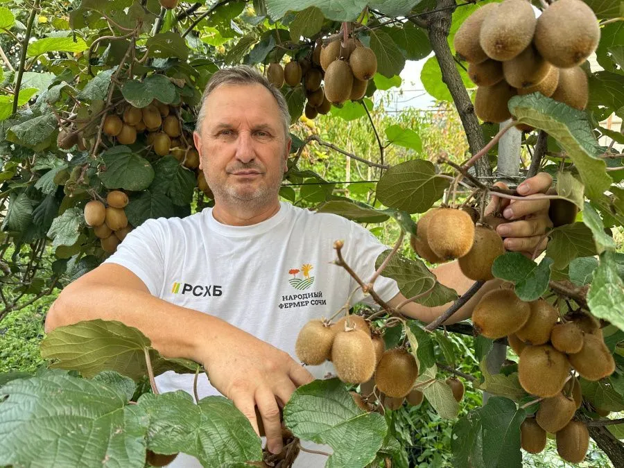 Платонов старший.jpg