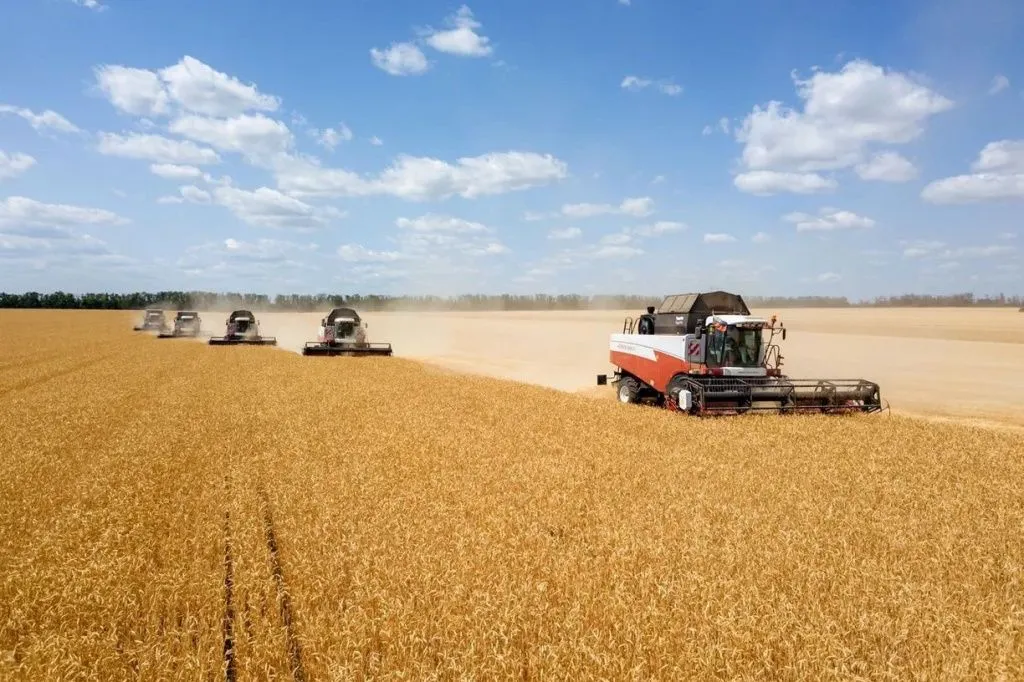 сбор урожая.jpeg сбор урожая.jpeg