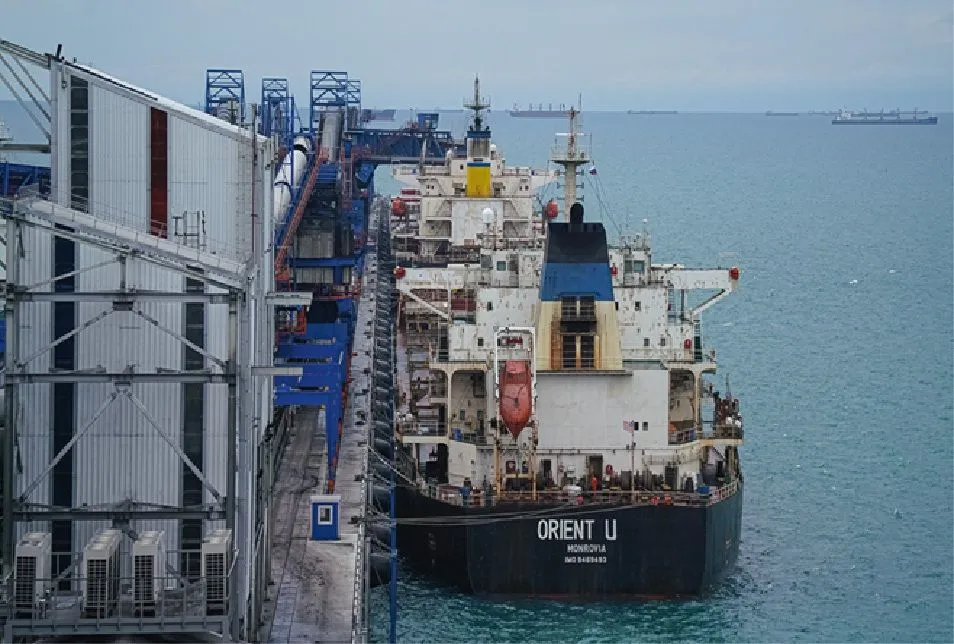 Фото: ОТЭКО