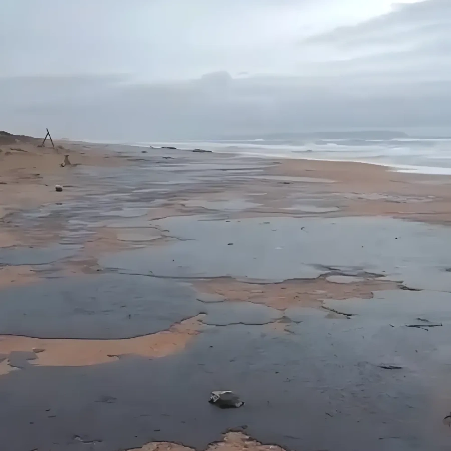 Мазут, выброшенный на берег // Фото: соцсети Мазут, выброшенный на берег // Фото: соцсети
