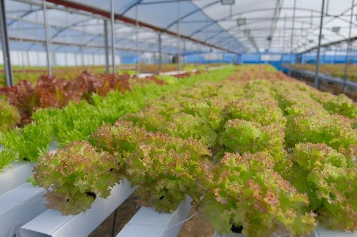 Никита Толстов_Архангельск_3.jpeg