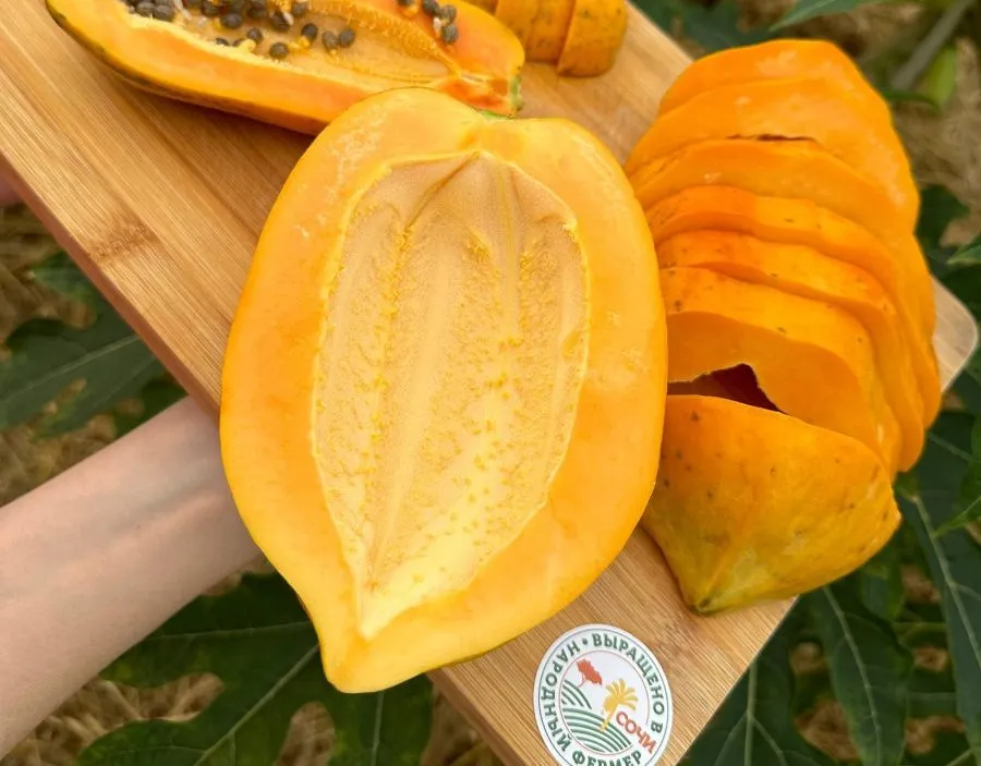 Папайя.jpg